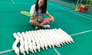 羽毛球比赛规则视频