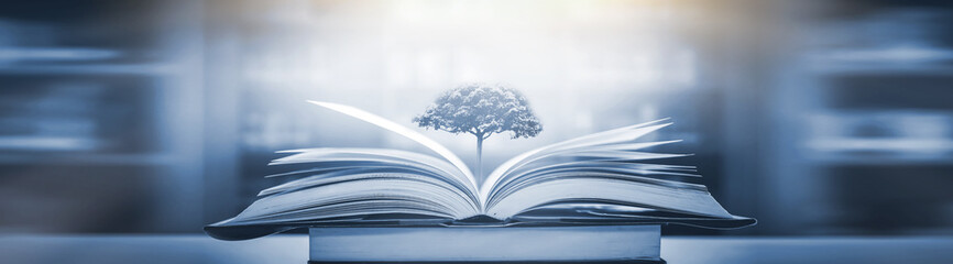 余额宝怎么转到支付宝余额 余额宝怎么转到支付宝