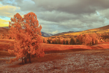 余额宝怎么转到支付宝余额 余额宝怎么转到支付宝